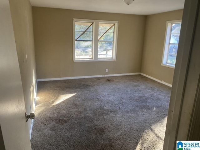 empty room featuring carpet flooring