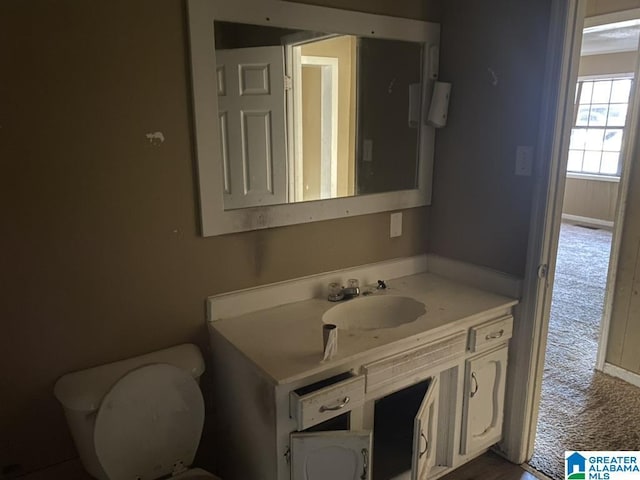 bathroom with toilet and vanity