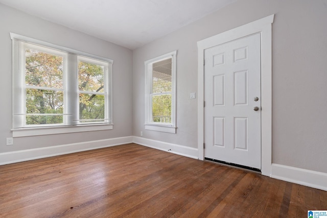 entrance foyer featuring dark wood-type flooring