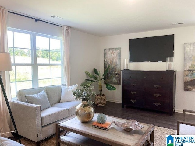 living room featuring dark wood-type flooring