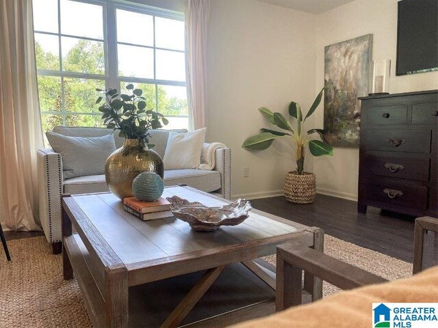 sitting room with hardwood / wood-style flooring