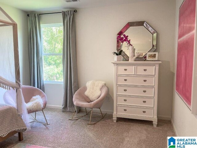 sitting room with light colored carpet