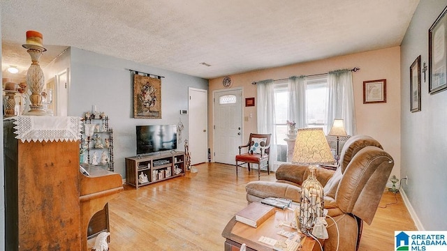 living room featuring a textured ceiling and hardwood / wood-style floors