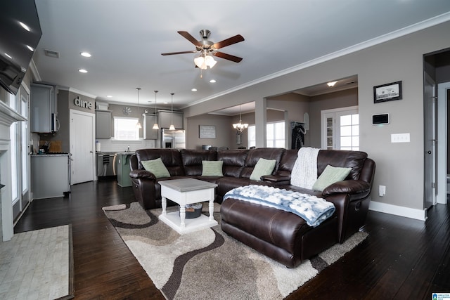 living room with ceiling fan with notable chandelier, dark hardwood / wood-style floors, and ornamental molding