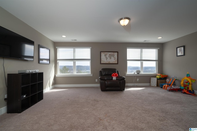 playroom with carpet floors