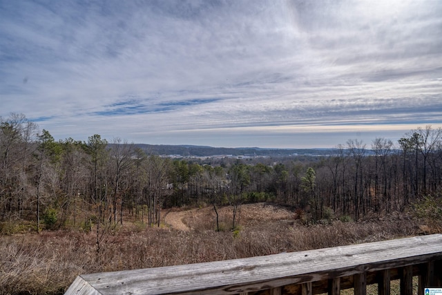 view of mountain feature