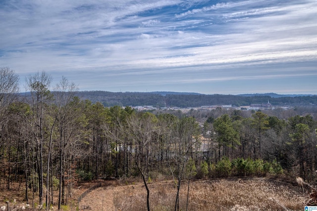 property view of mountains