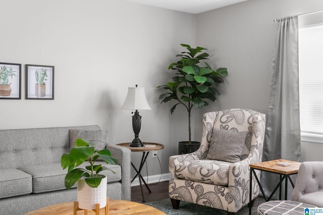 living area featuring hardwood / wood-style floors