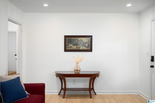 interior space featuring light hardwood / wood-style floors