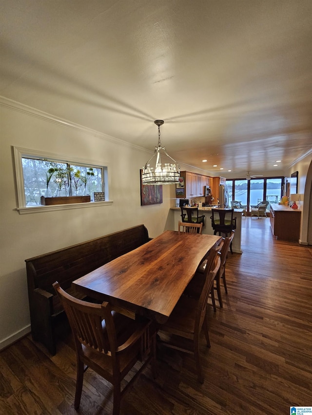 dining room with dark wood-type flooring, ornamental molding, and a healthy amount of sunlight