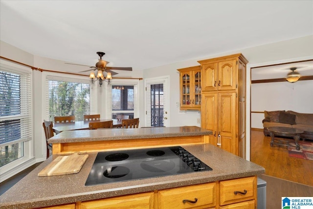 kitchen featuring ceiling fan, dark hardwood / wood-style flooring, black electric cooktop, and a kitchen island