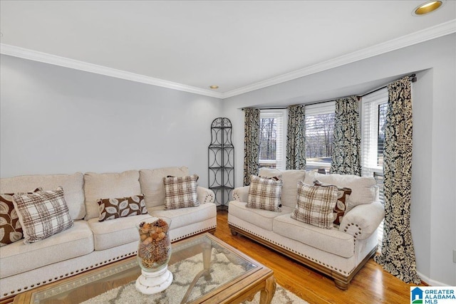 living room featuring crown molding and hardwood / wood-style floors