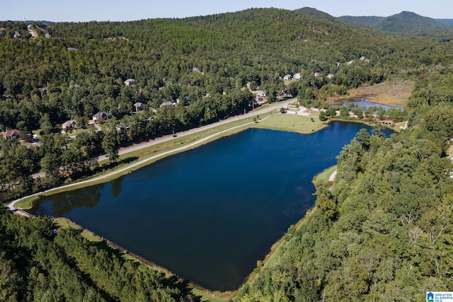 birds eye view of property featuring a water and mountain view