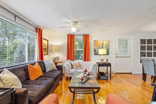 living room with ceiling fan, wood-type flooring, and a textured ceiling