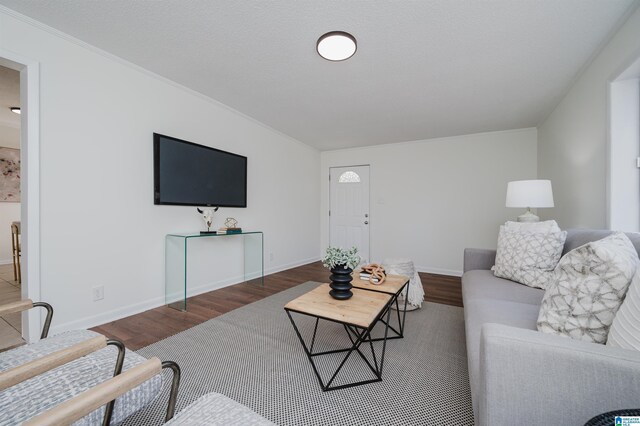 living room featuring dark hardwood / wood-style flooring