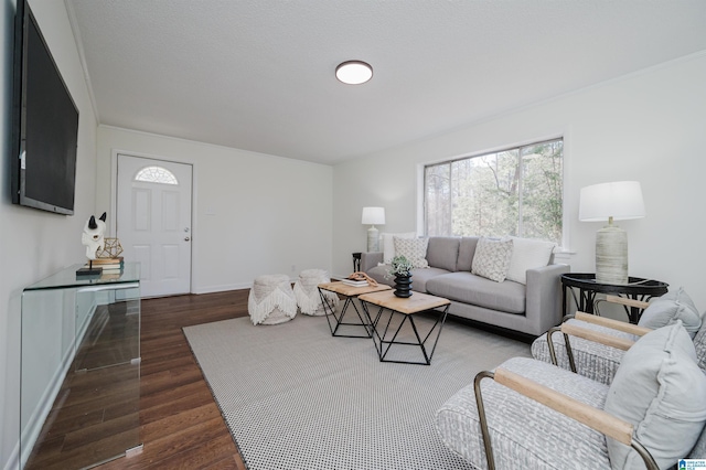 living room featuring dark wood-type flooring