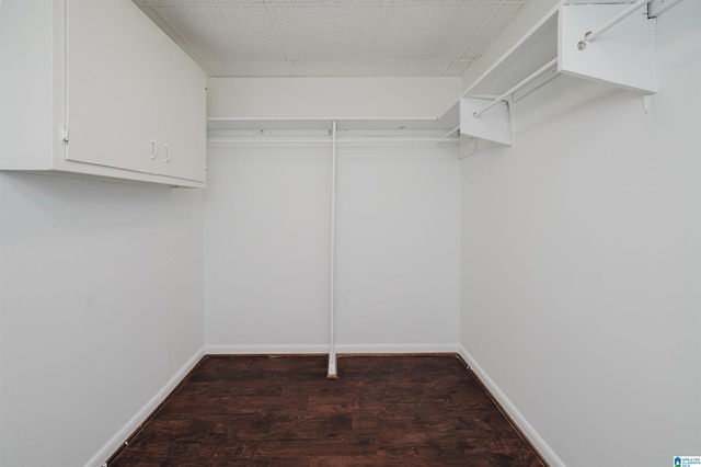 walk in closet with dark hardwood / wood-style flooring