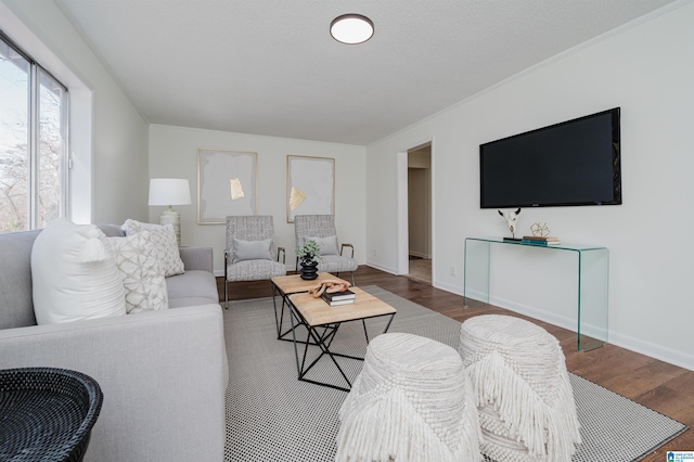 living room featuring dark wood-type flooring