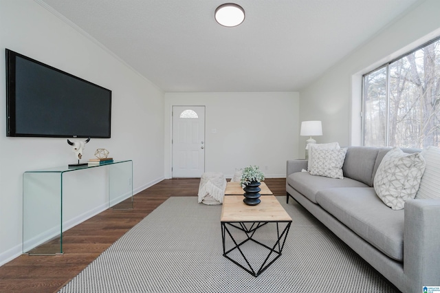 living room with dark hardwood / wood-style floors
