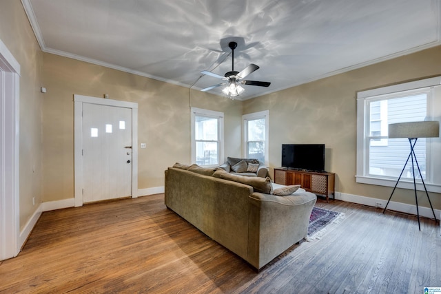 living room with hardwood / wood-style flooring, ceiling fan, and crown molding