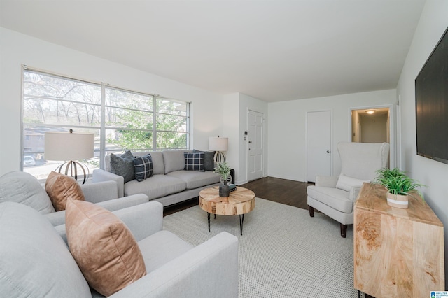 living room featuring hardwood / wood-style flooring