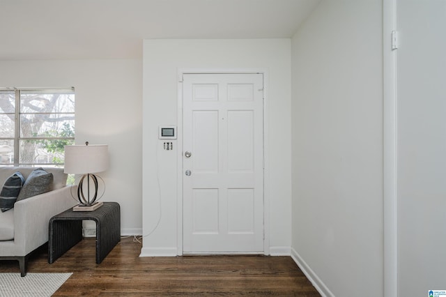 foyer entrance with dark wood-type flooring