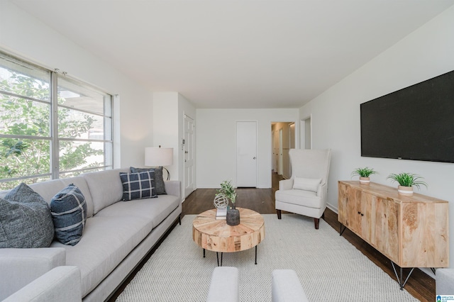 living room with wood-type flooring