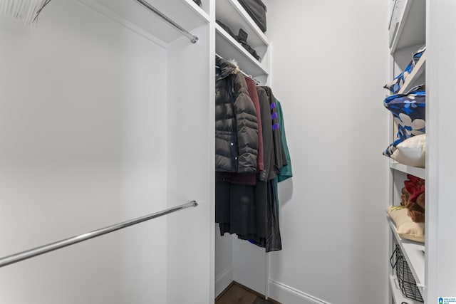 view of walk in closet