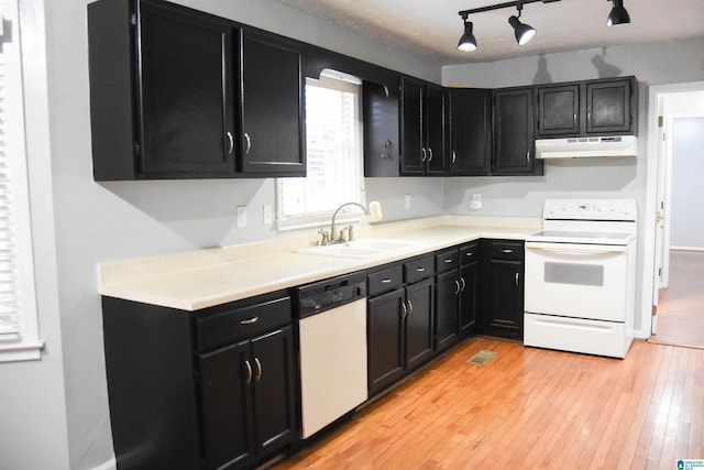 kitchen with light wood-type flooring, sink, and white appliances