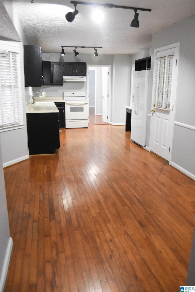 kitchen with hardwood / wood-style flooring, sink, and white appliances