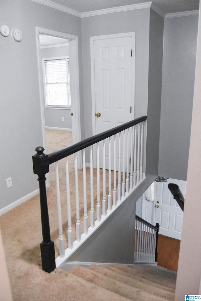 stairs with ornamental molding