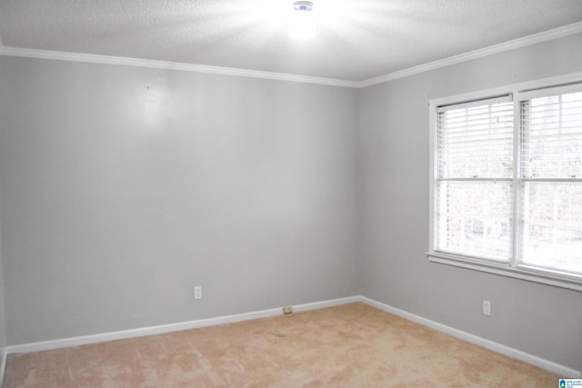 carpeted spare room featuring ornamental molding