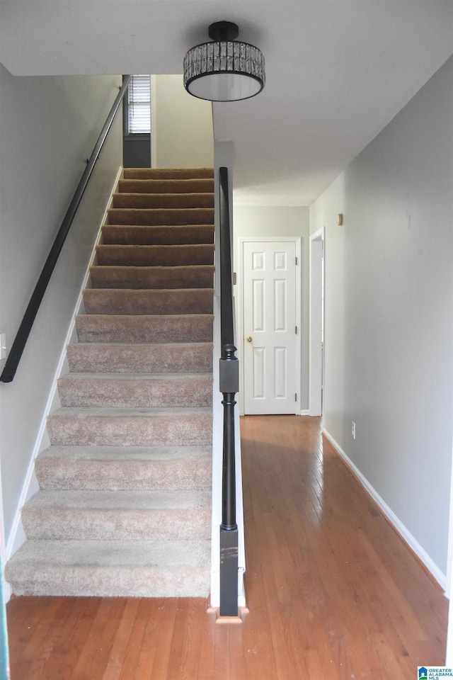 stairs featuring hardwood / wood-style flooring