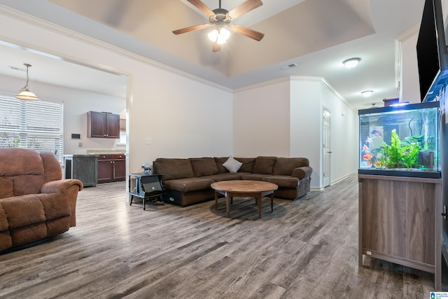 living room featuring ceiling fan, a raised ceiling, ornamental molding, and wood-type flooring