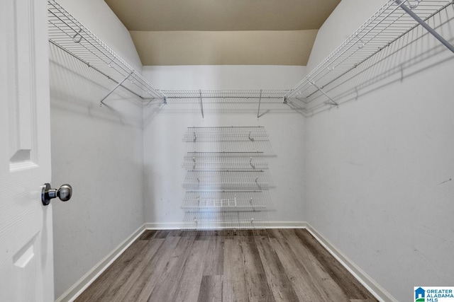 walk in closet featuring hardwood / wood-style floors