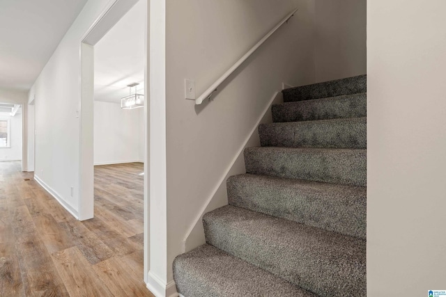 stairway with hardwood / wood-style floors