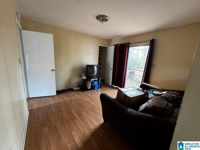 living room featuring light hardwood / wood-style flooring