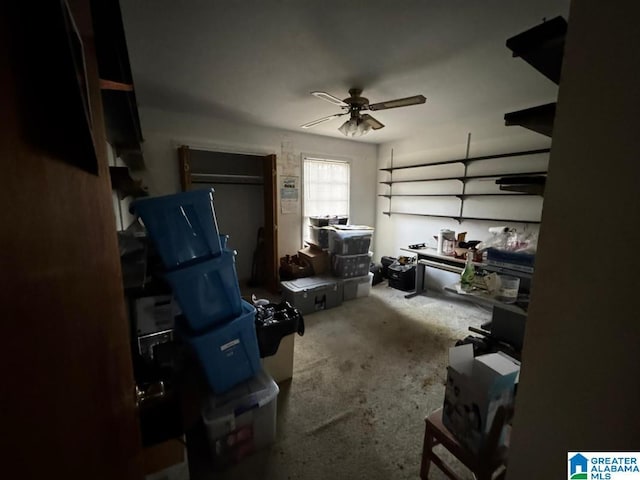 storage room with ceiling fan