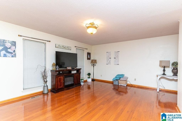 living area with wood-type flooring and a textured ceiling