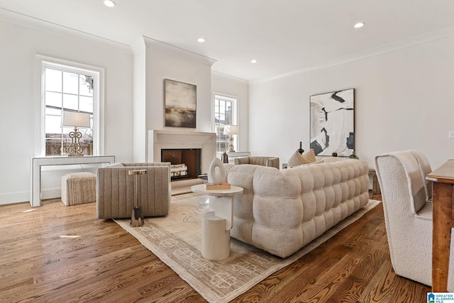 living room with wood-type flooring and ornamental molding