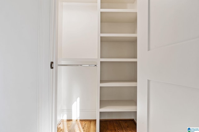 view of closet