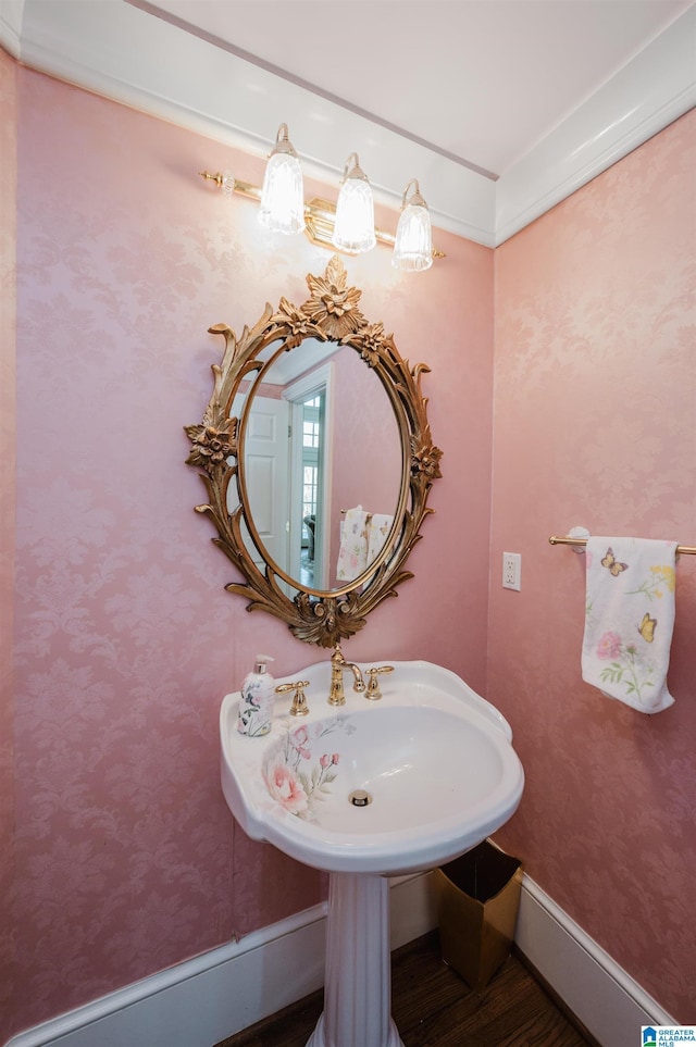 bathroom featuring hardwood / wood-style floors