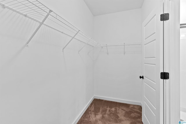 walk in closet with dark colored carpet