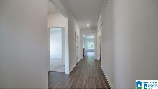 hallway with dark wood-type flooring and crown molding