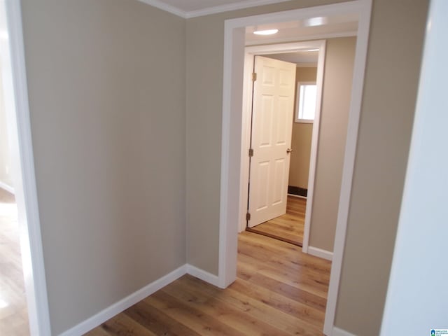 hallway featuring crown molding and light hardwood / wood-style flooring