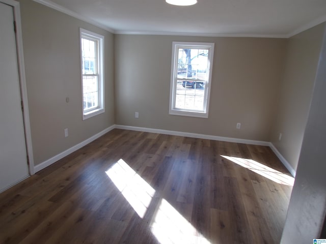 spare room featuring dark hardwood / wood-style floors, ornamental molding, and plenty of natural light