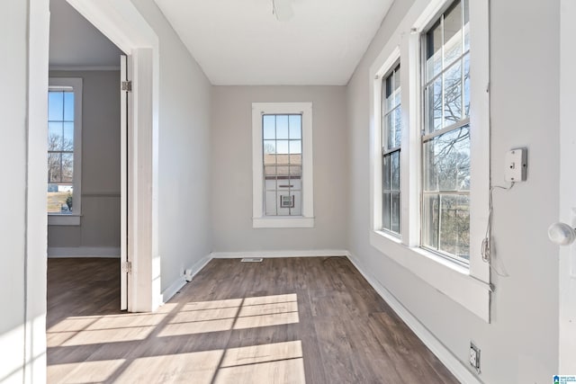 unfurnished room featuring plenty of natural light and wood-type flooring