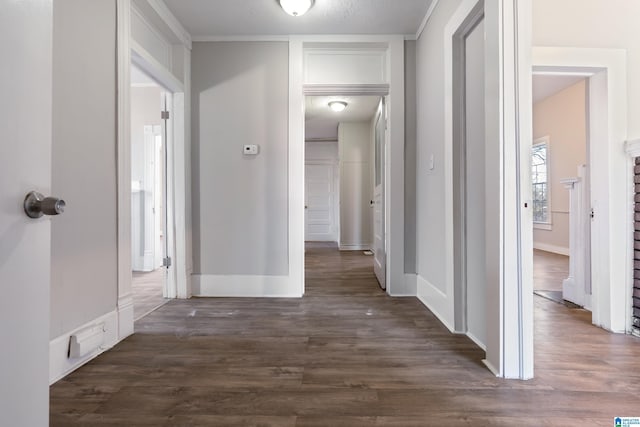 hallway featuring dark wood-type flooring and crown molding