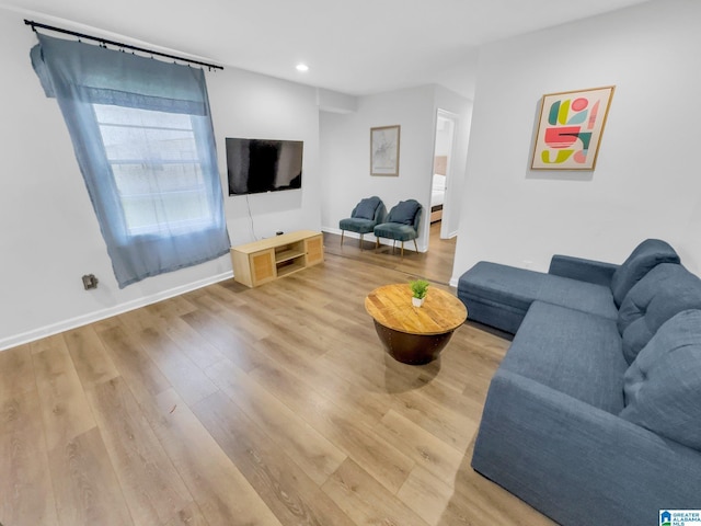 living room featuring hardwood / wood-style floors