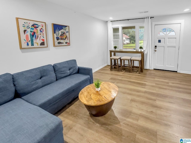 living room with hardwood / wood-style flooring